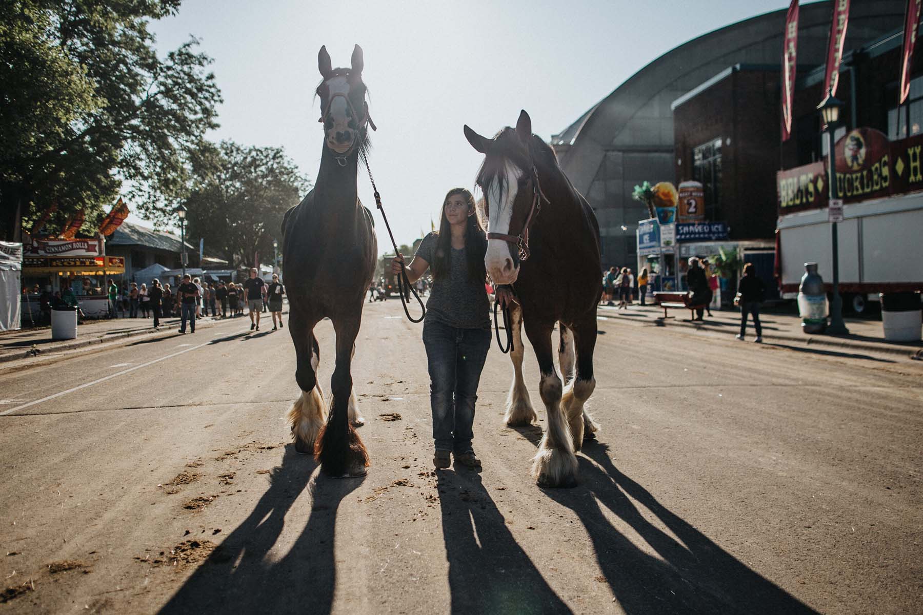 Minnesota State Fair 2026